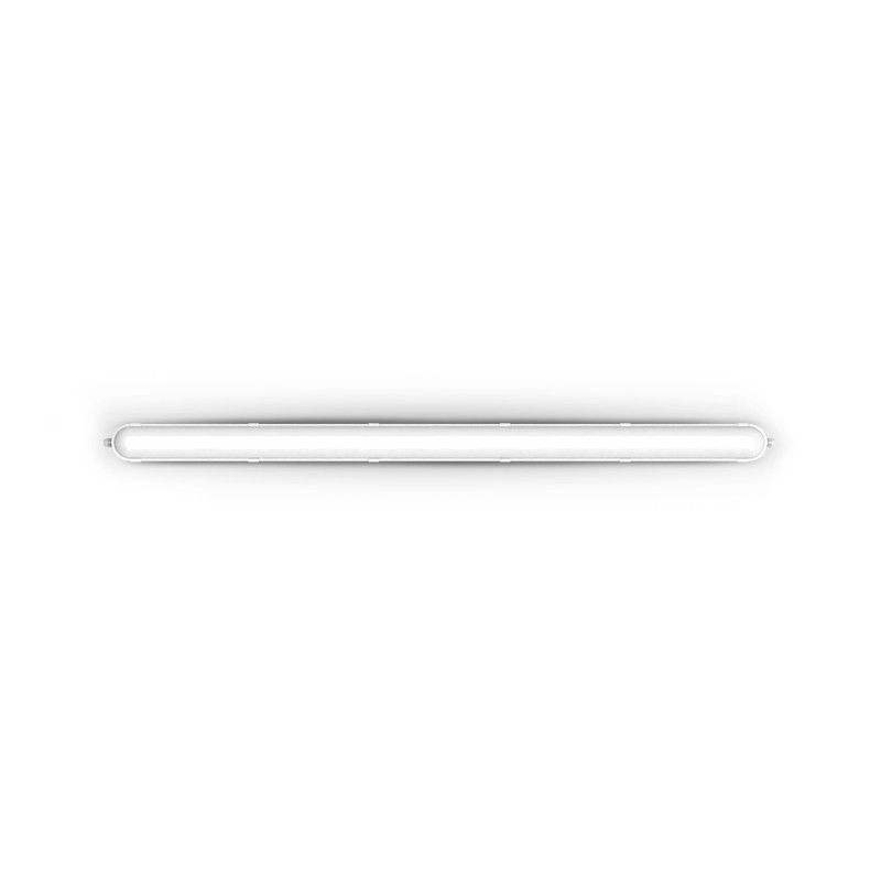 images/products/2524/31493
