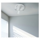 images/products/3861/31899