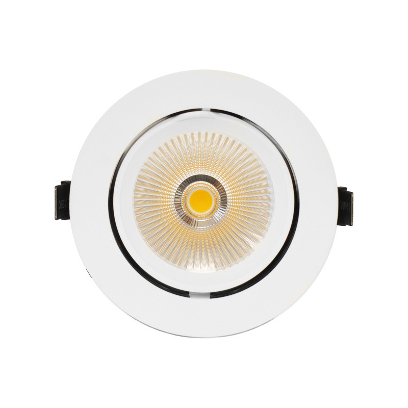 LED-Slakvorm Spotlight, richtbaar en roteerbaar 20W 3000K + Voeding