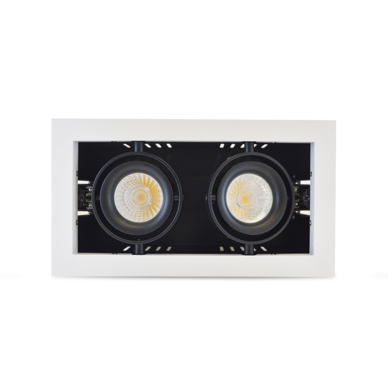 DOWNLIGHT-SPOT-CARDAN-2x10W-4000K 