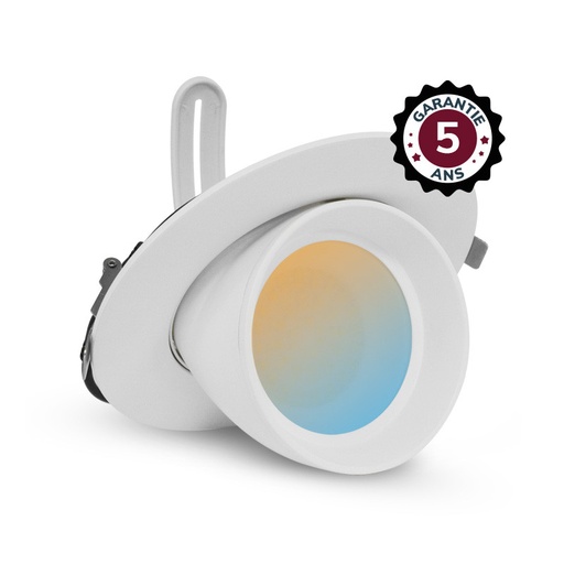 [767440] LED-Slakvorm Spotlight, richtbaar en roteerbaar Wit 38W CCT - 5 jaar garantie