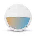 LED Hublot Ø300mm Asymétrique Blanc + Détecteur RF préavis d'extinction 20W CCT IP65
