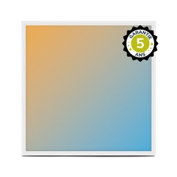 [101108] LED PANEEL BACKLIT 595x595 25W WIT CCT PRISMATISCH - 5 JAAR GARANTIE